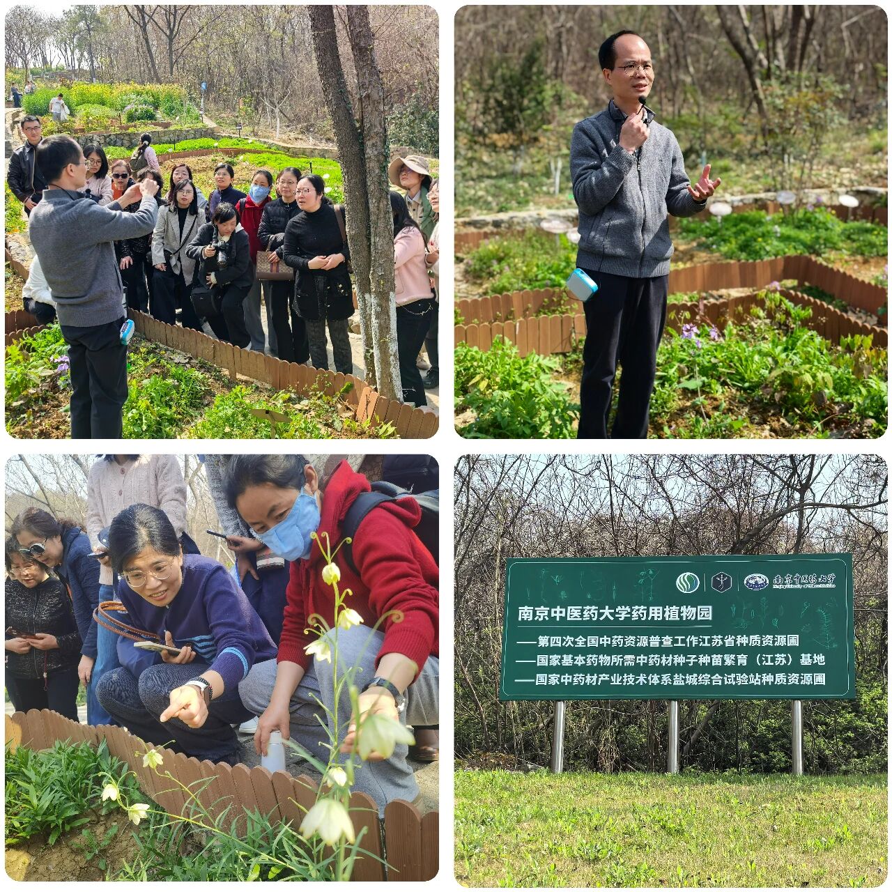 1776256369107259.jpg 微信图片_2026-04-15_203110_537.jpg