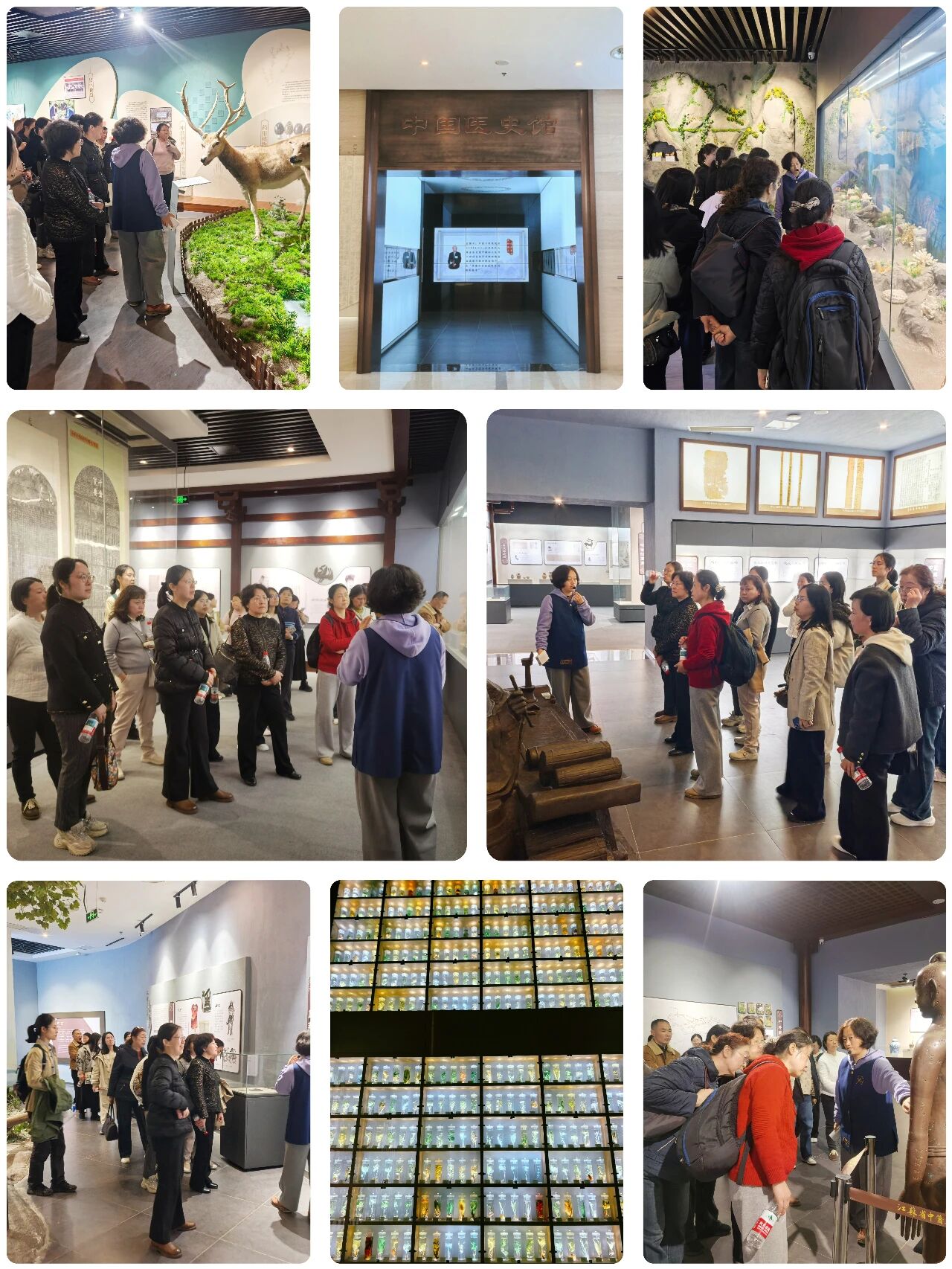 1776256377763475.jpg 微信图片_2026-04-15_203113_298.jpg